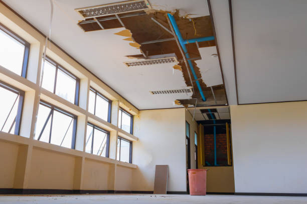 Best Water damage cleanup near me  in Lynwood, CA