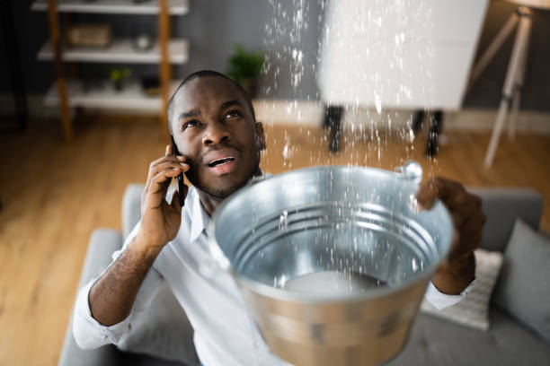 Best Flooded house restoration  in Lynwood, CA