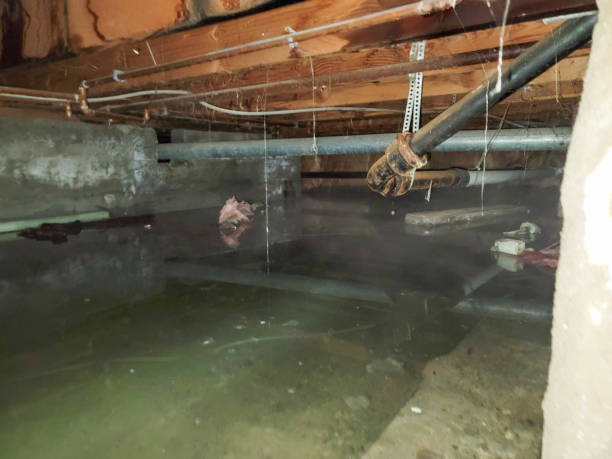 Best Water damage restoration near me  in Lynwood, CA