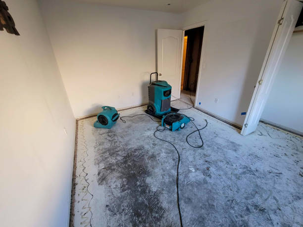 Best Water damage contractors near me  in Lynwood, CA