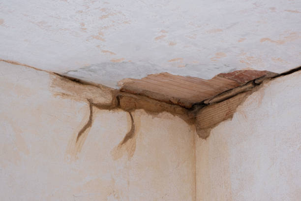 Best Fire Damage Restoration  in Lynwood, CA