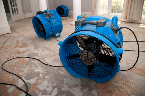 Best Basement water damage restoration  in Lynwood, CA