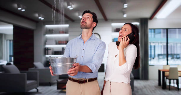 Best Water damage restoration near me  in Lynwood, CA